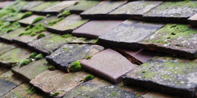 Sutton In The Isle roof repair costs
